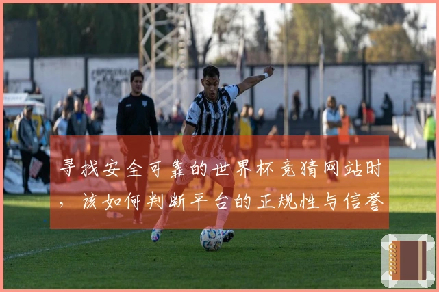 寻找安全可靠的世界杯竞猜网站时，该如何判断平台的正规性与信誉？