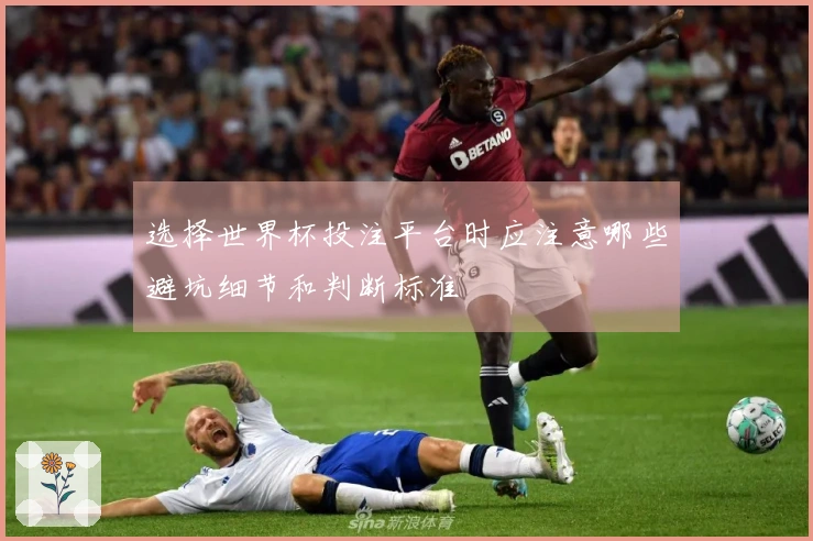 选择世界杯投注平台时应注意哪些避坑细节和判断标准
