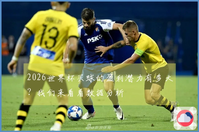 2026世界杯买球的盈利潜力有多大？我们来看看数据分析