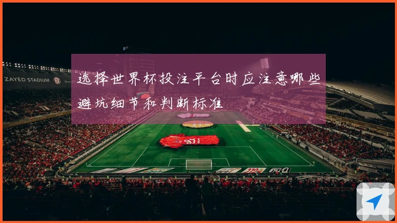 选择世界杯投注平台时应注意哪些避坑细节和判断标准