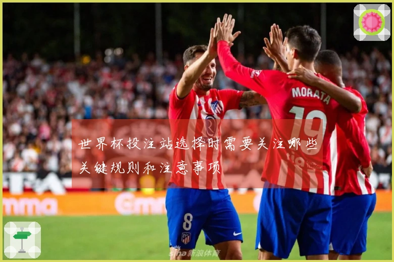 世界杯投注站选择时需要关注哪些关键规则和注意事项