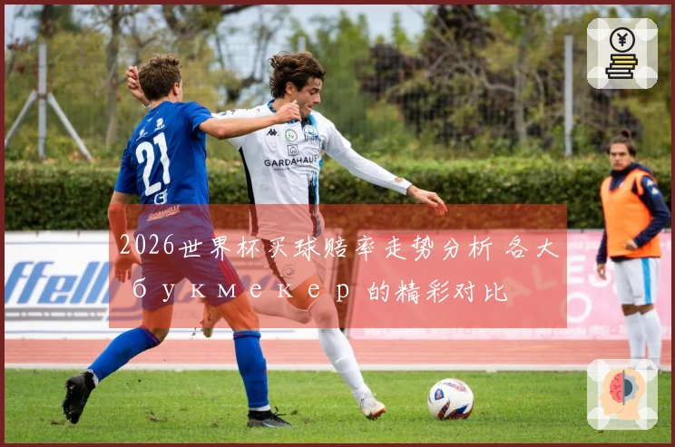 2026世界杯买球赔率走势分析 各大 букмекер 的精彩对比